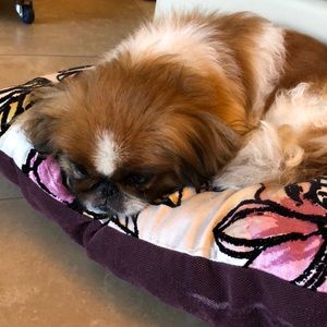 Meet your Posher, Fatima